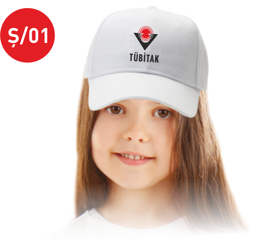 TÜBİTAK 4006 ŞAPKA Ş01