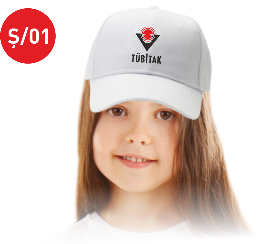 TÜBİTAK 4006 ŞAPKA Ş01