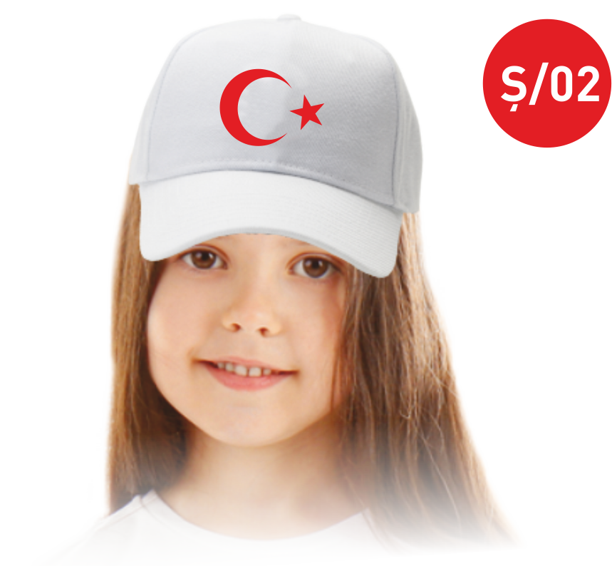 TÜBİTAK 4006 ŞAPKA Ş02