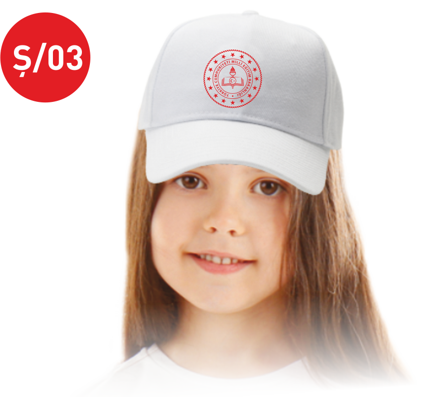 TÜBİTAK 4006 ŞAPKA Ş03