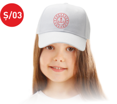 TÜBİTAK 4006 ŞAPKA Ş03