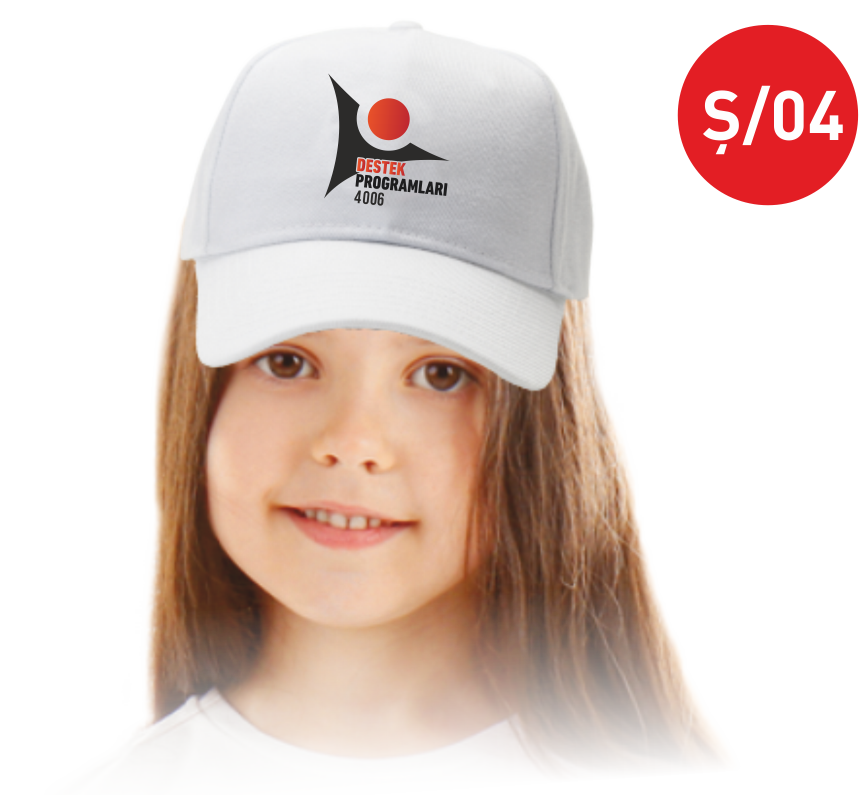 TÜBİTAK 4006 ŞAPKA Ş04