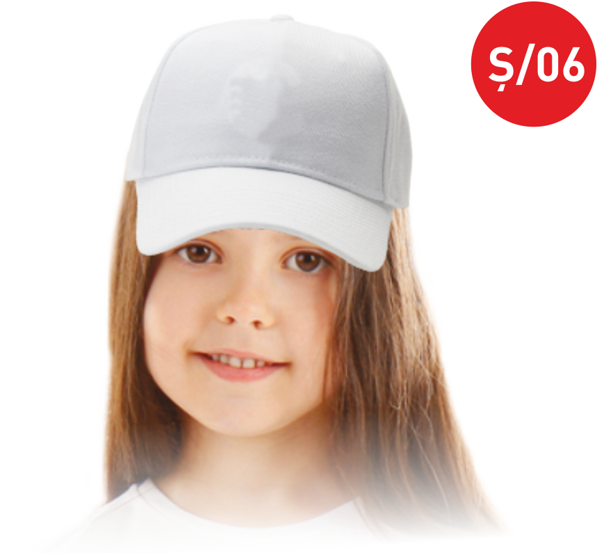 TÜBİTAK 4006 ŞAPKA Ş06