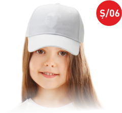 TÜBİTAK 4006 ŞAPKA Ş06