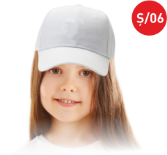 TÜBİTAK 4006 ŞAPKA Ş06