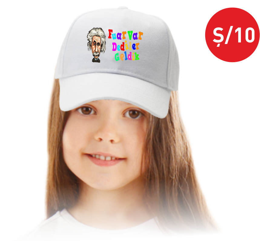 TÜBİTAK 4006 ŞAPKA Ş10