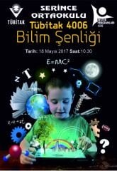 TÜBİTAK 4006 KUŞE AFİŞ K02