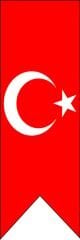 TÜBİTAK 4006 KIRLANGIÇ BAYRAK 150X50 KB01