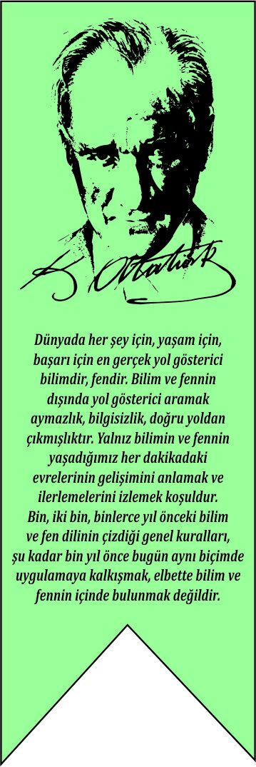 TÜBİTAK 4006 KIRLANGIÇ BAYRAK 150X50 KB04