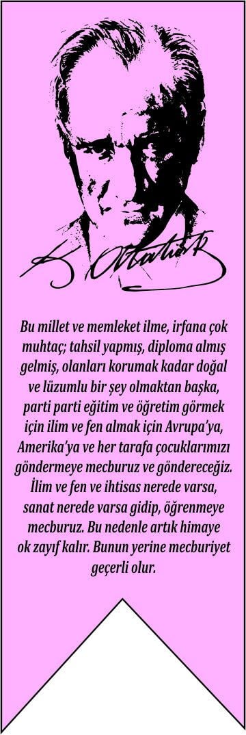 TÜBİTAK 4006 KIRLANGIÇ BAYRAK 150X50 KB05