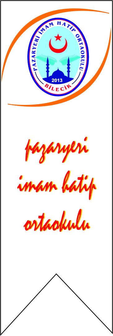 TÜBİTAK 4006 KIRLANGIÇ BAYRAK 150X50 KB14