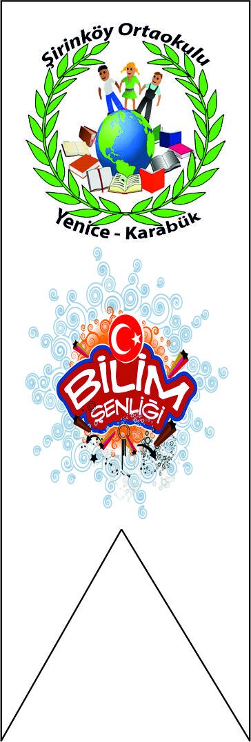 TÜBİTAK 4006 KIRLANGIÇ BAYRAK 150X50 KB17