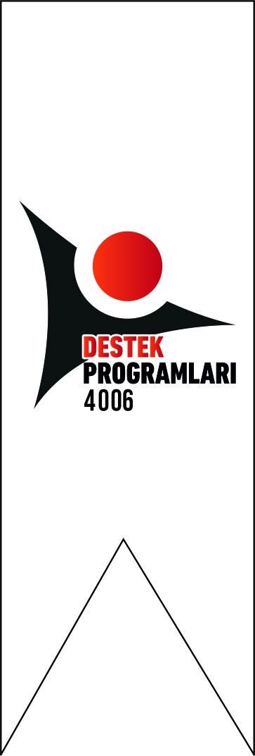 TÜBİTAK 4006 KIRLANGIÇ BAYRAK 150X50 KB18