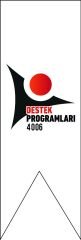 TÜBİTAK 4006 KIRLANGIÇ BAYRAK 150X50 KB18