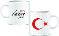 Tübitak 4006 Kupa Bardak BR12