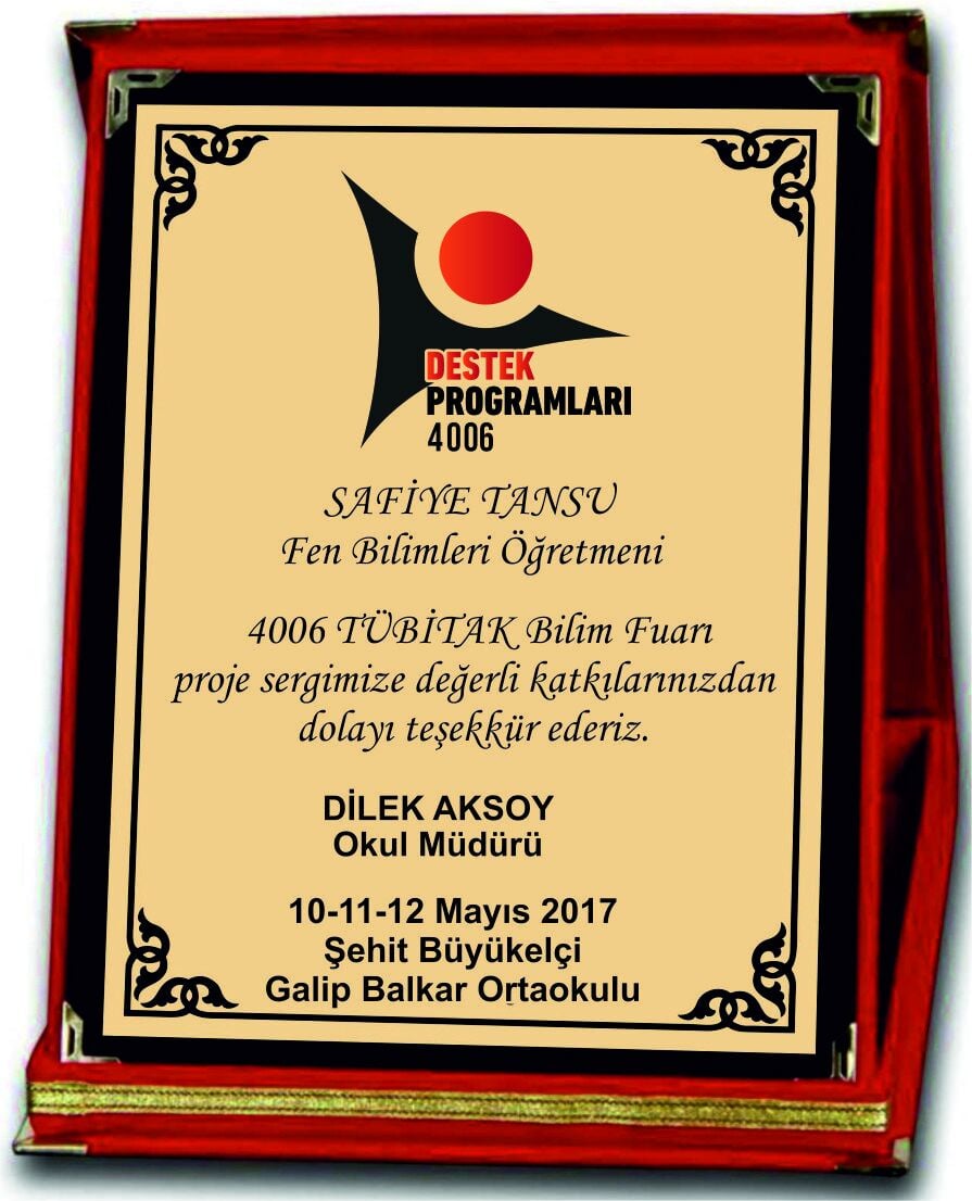 Tübitak 4006 Plaket PLK01