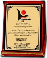 Tübitak 4006 Plaket PLK01