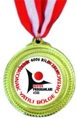 Tübitak 4006 Madalya MDL01