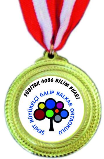Tübitak 4006 Madalya MDL03